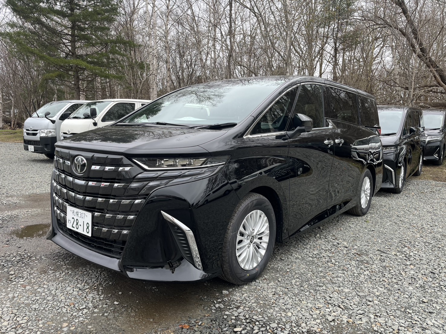 car_type_202607021059367462_tmp.jpg